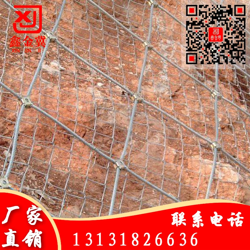 主動網(wǎng)、鋼絲繩網(wǎng).jpg