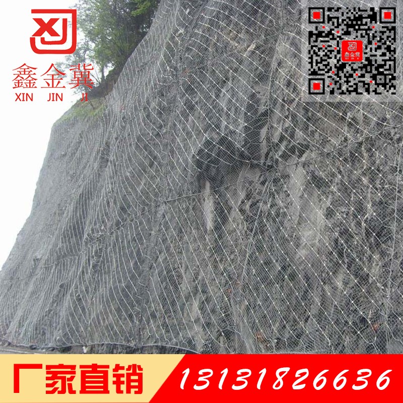 主動防護(hù)網(wǎng).jpg