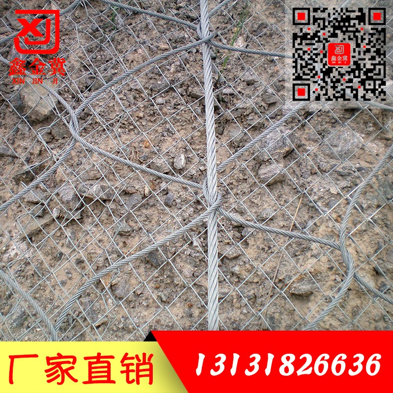 主動防護(hù)網(wǎng).jpg